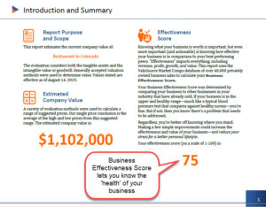 Business Effectiveness Score