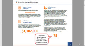 Business Effectiveness Score